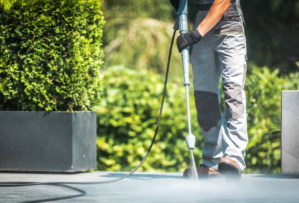 Best Gutter Cleaning  in Old Stine, CA